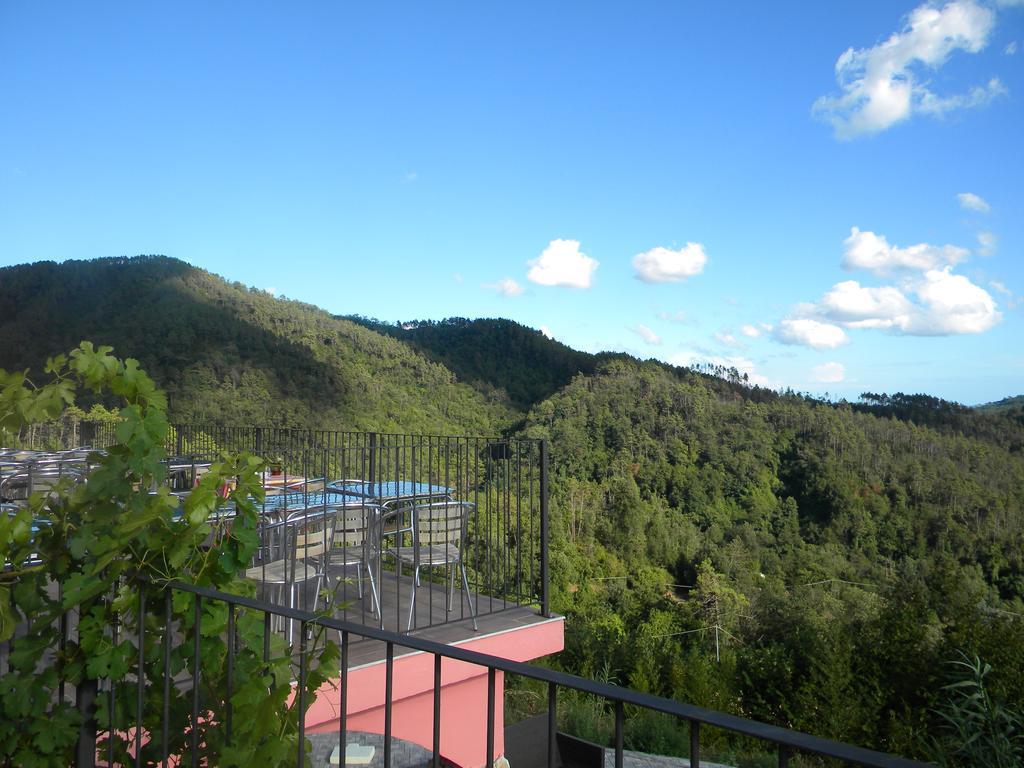 Villa I Gelsi E I Castagni Polverara Exterior foto