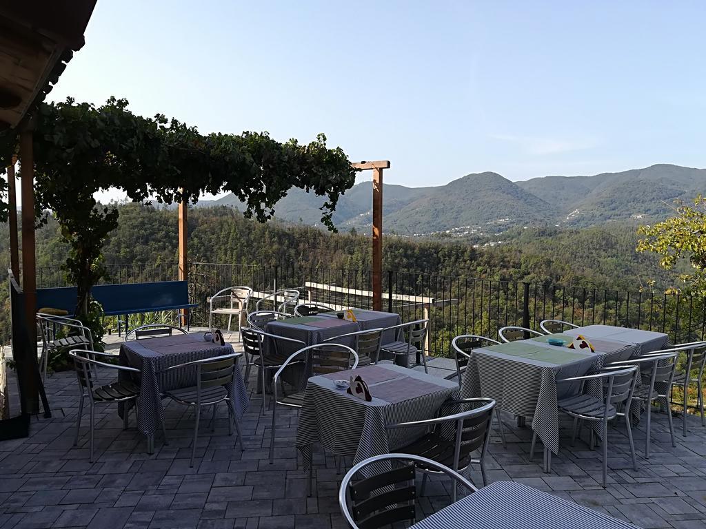 Villa I Gelsi E I Castagni Polverara Exterior foto