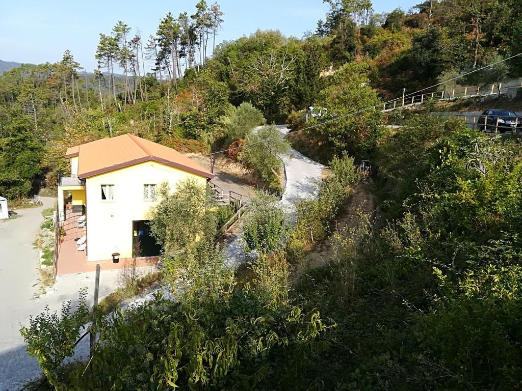 Villa I Gelsi E I Castagni Polverara Exterior foto
