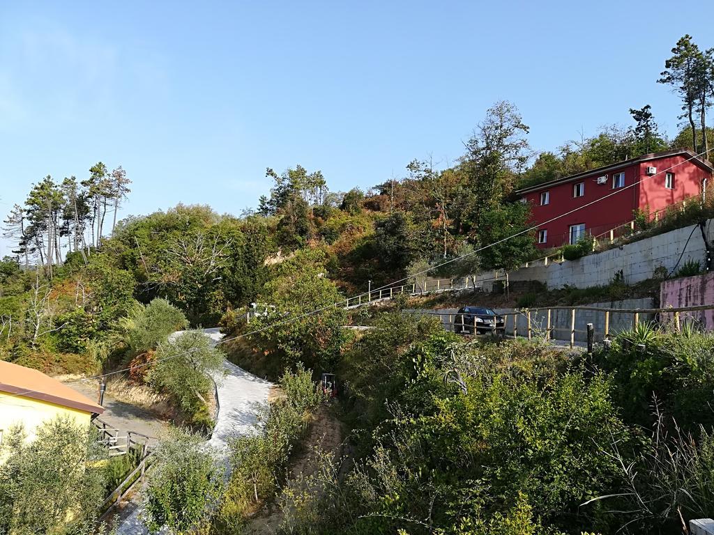 Villa I Gelsi E I Castagni Polverara Exterior foto