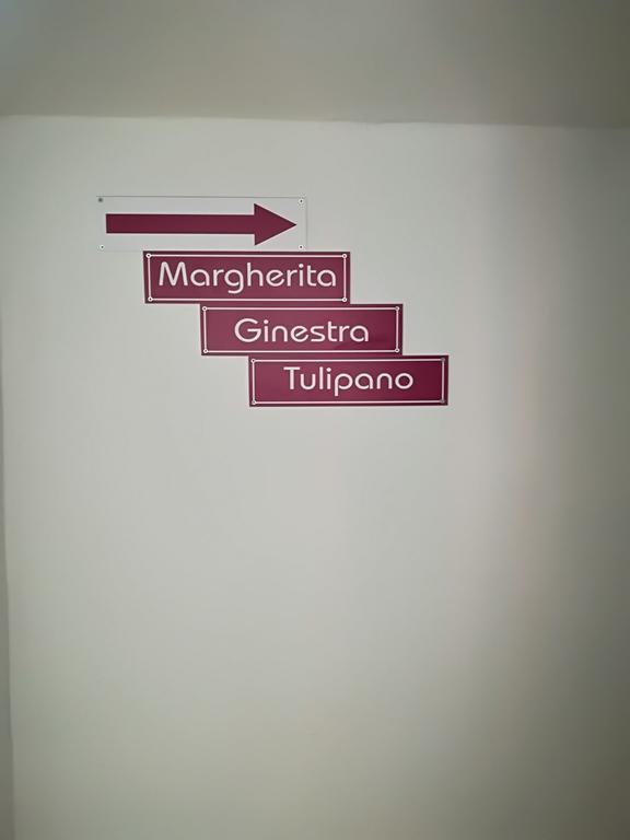 Villa I Gelsi E I Castagni Polverara Exterior foto