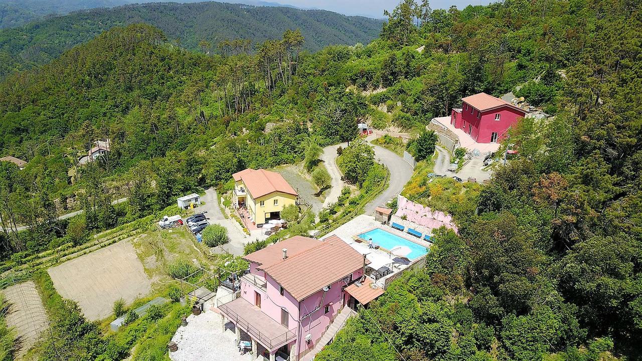 Villa I Gelsi E I Castagni Polverara Exterior foto
